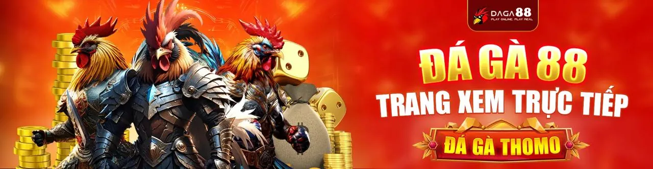Hình ảnh tổng quan về chiến lược cá cược thể thao trên thomo68 app